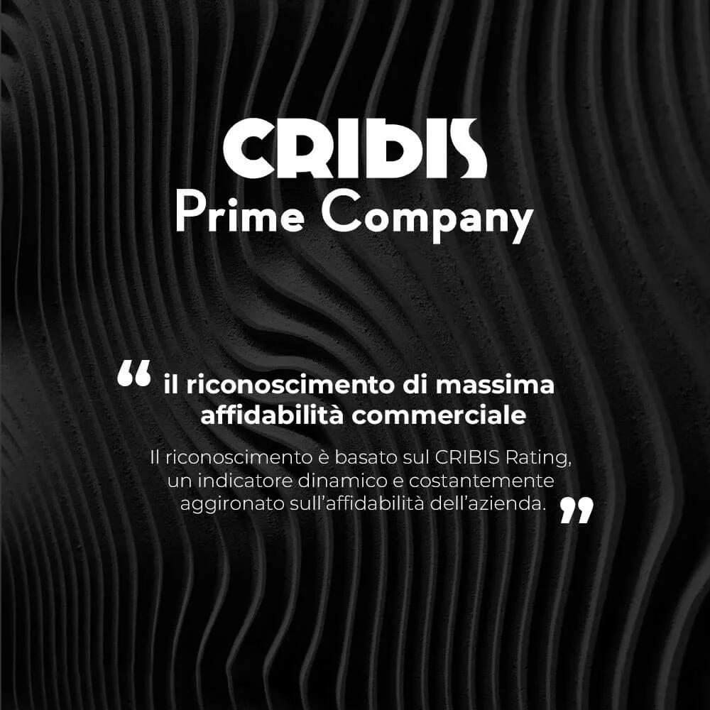 Certificazione CRIBIS Dun & Bradstreet 2019